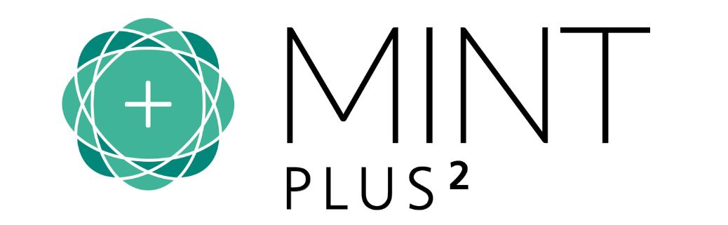 Einladung zur Tagung MINTplus2 vom 25.02.-26.02.2021, TU Darmstadt